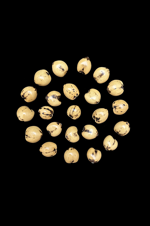 Natural Kukui Nut Beads - Hawaii