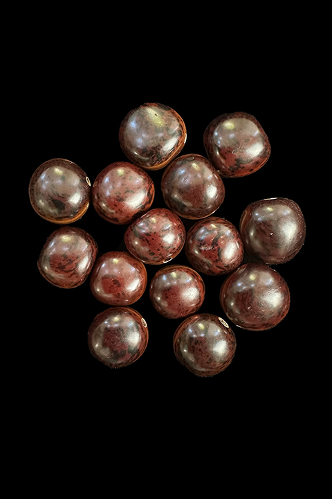 14 Maroon Colored Kukui Nut Beads - Hawaii