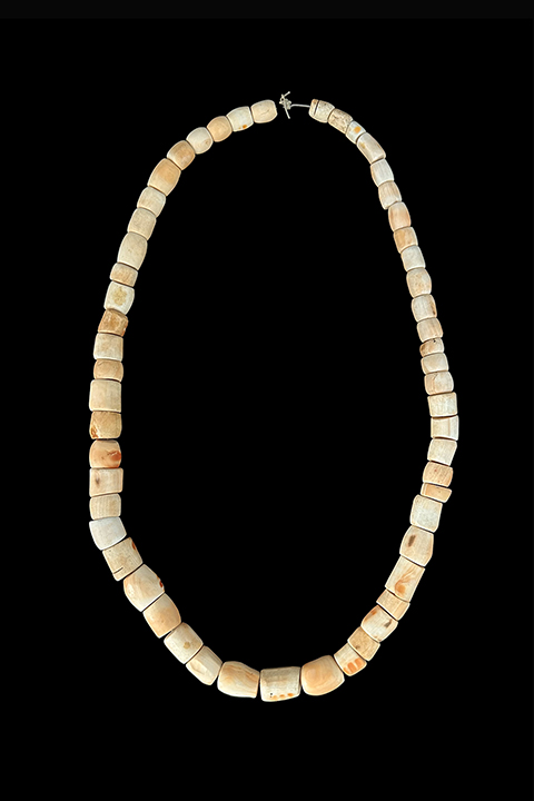 Arca Shell Necklace - Yoruba People, Nigeria.