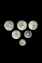 Set of 6 Mother of Pearl Shell Button Beads 2