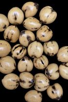 Natural Kukui Nut Beads - Hawaii 3