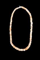 Arca Shell Necklace 2 - Yoruba People, Nigeria.