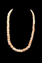 Arca Shell Necklace 2 - Yoruba People, Nigeria. 3