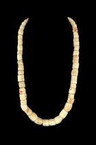 Arca Shell Necklace - Yoruba People, Nigeria. 3