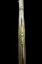 Rare Spear - Dogon People, Mali 9