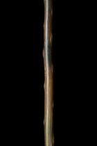 Rare Spear - Dogon People, Mali 3